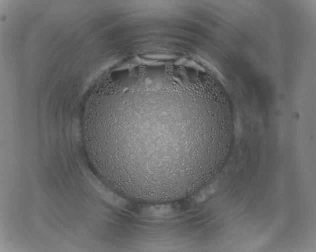 X0000070430353200606231924