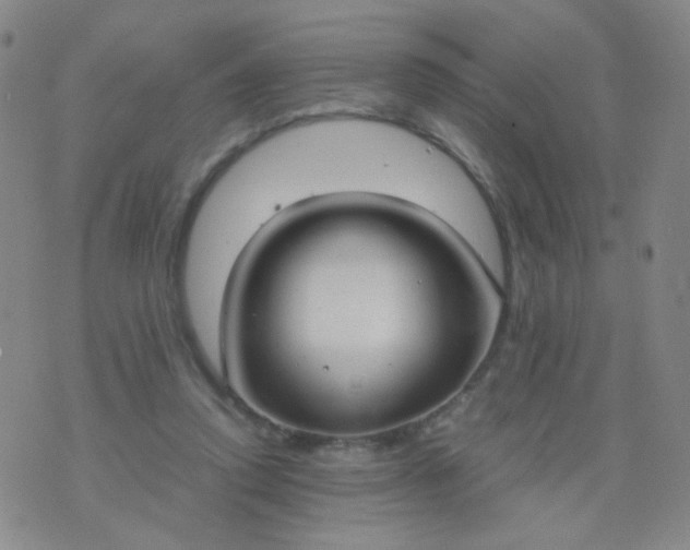 X0000070430354200606231924