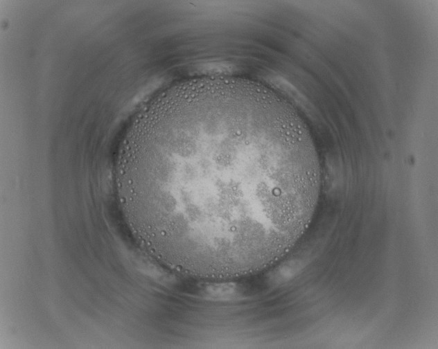 X0000070430355200606231924