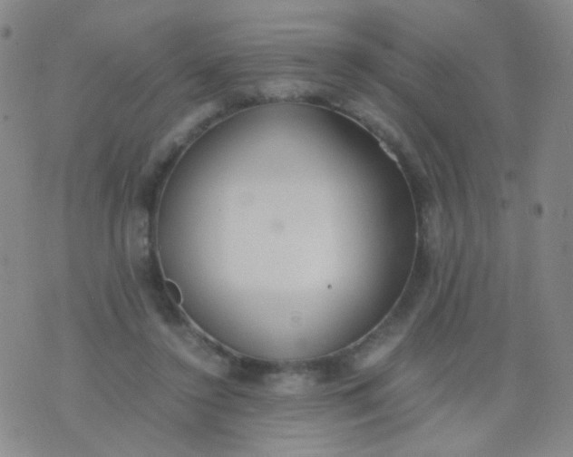 X0000070430356200606231924