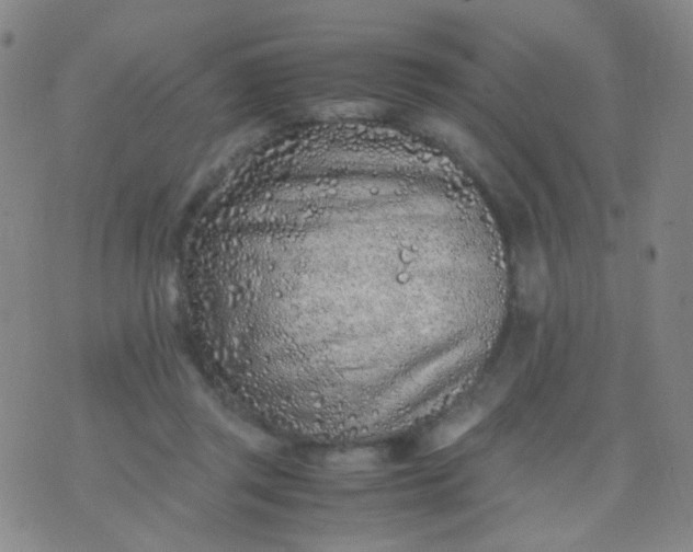 X0000070430357200606231924