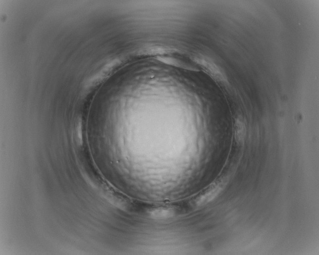 X0000070430358200606231924