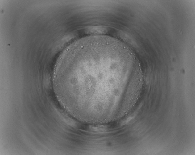 X0000070430359200606231924