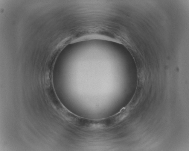 X0000070430360200606231924