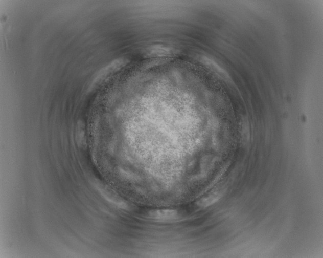 X0000070430361200606231924