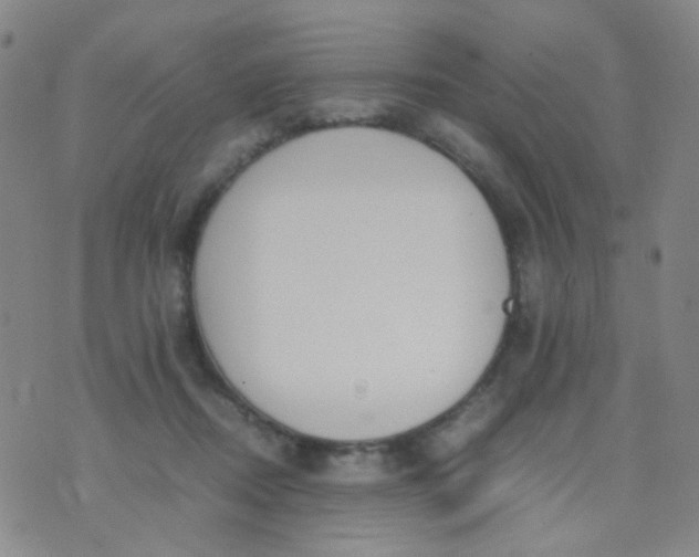 X0000070430362200606231924