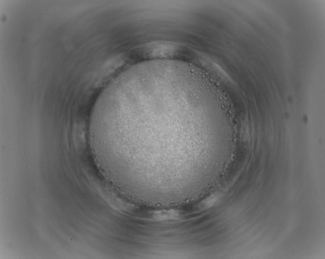 X0000070430363200606231924