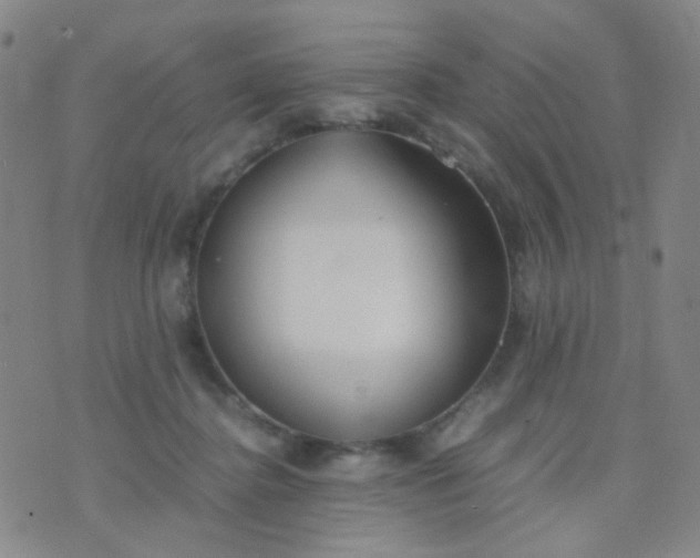 X0000070430364200606231924