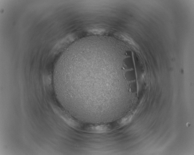 X0000070430365200606231924