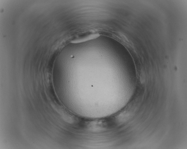 X0000070430366200606231924