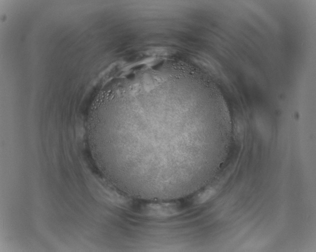 X0000070430367200606231924