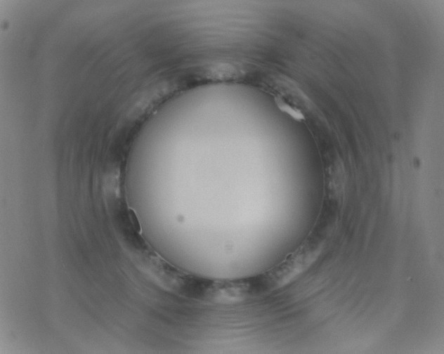 X0000070430368200606231924