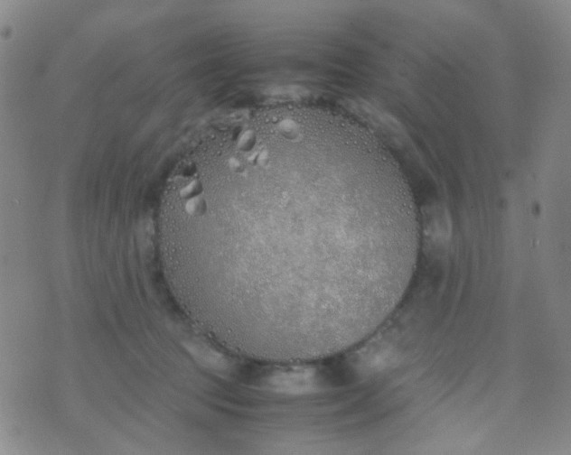 X0000070430369200606231924