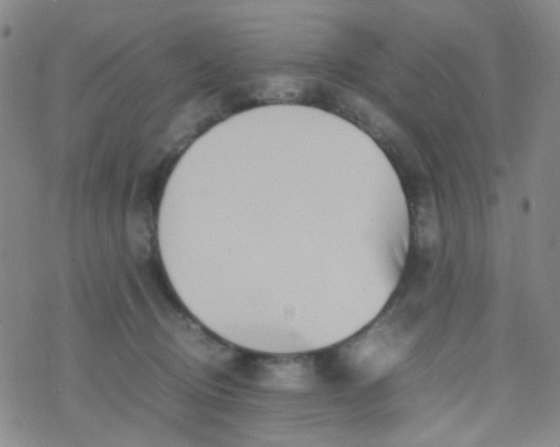 X0000070430370200606231924