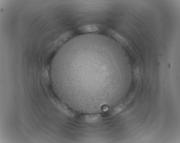 X0000070430373200606231924