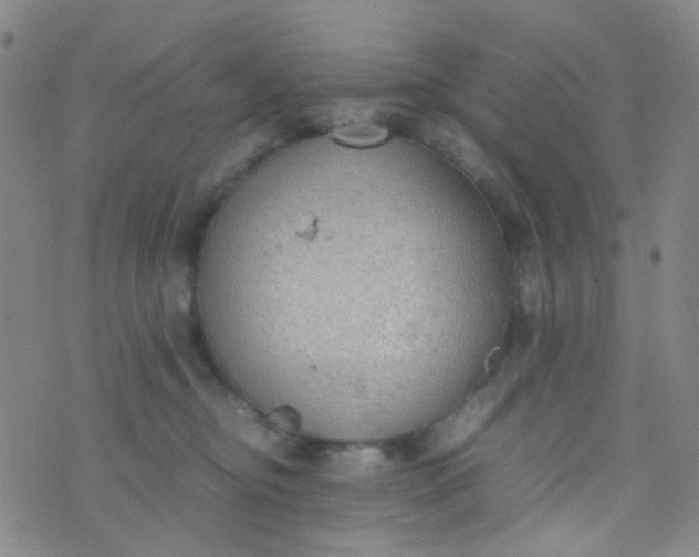 X0000070430374200606231924