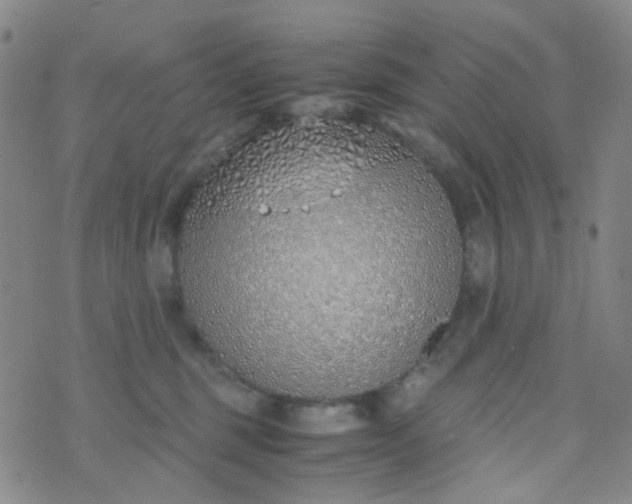 X0000070430375200606231924