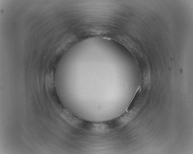 X0000070430376200606231924