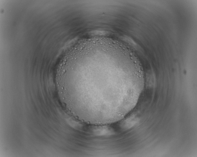 X0000070430377200606231924