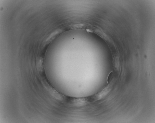 X0000070430378200606231924