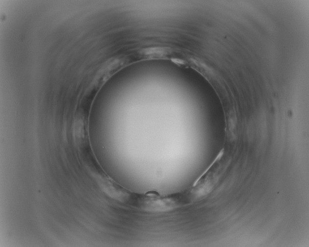 X0000070430379200606231924