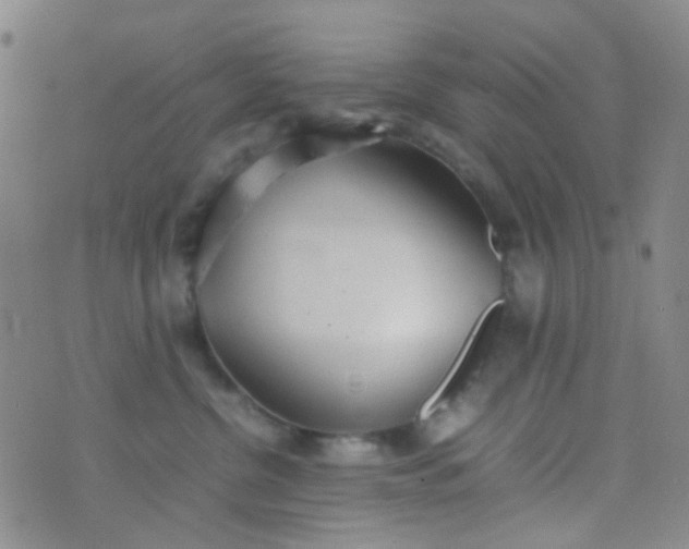 X0000070430380200606231924