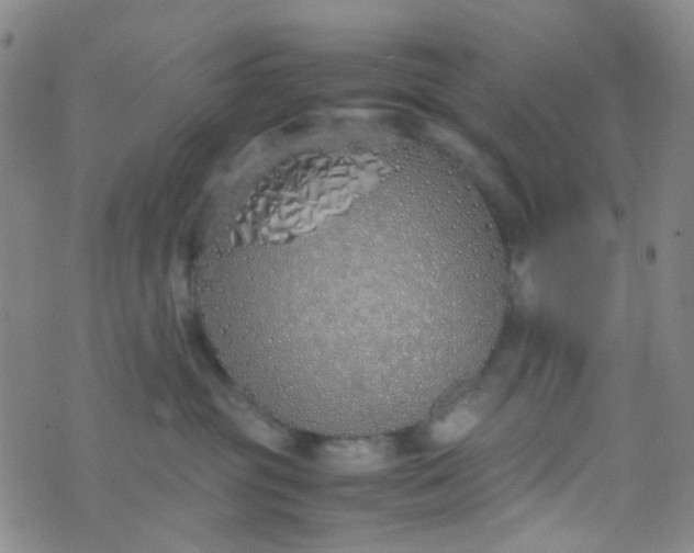 X0000070430381200606231924