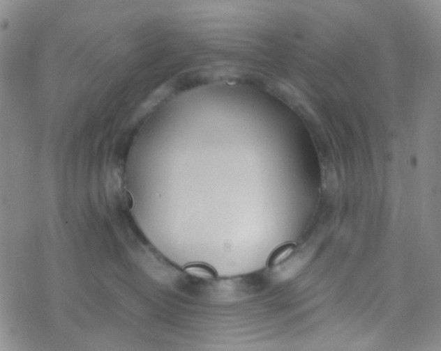 X0000070430382200606231924