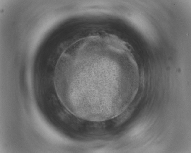 X0000070430383200606231924