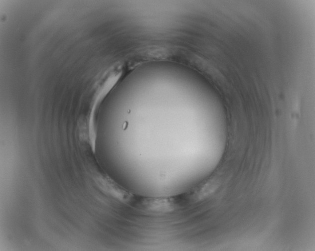 X0000070430384200606231924