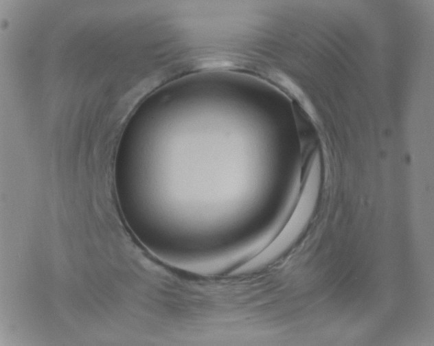 X0000070430385200606231923