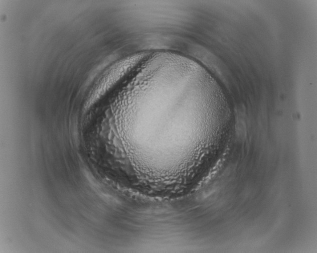 X0000070430386200606231923