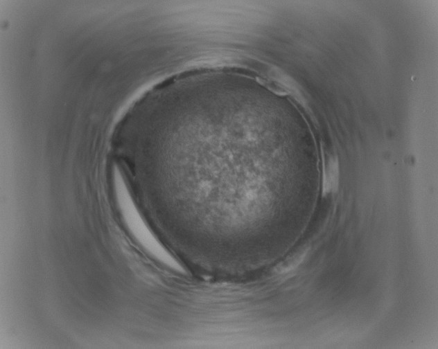 X0000070430387200606231923