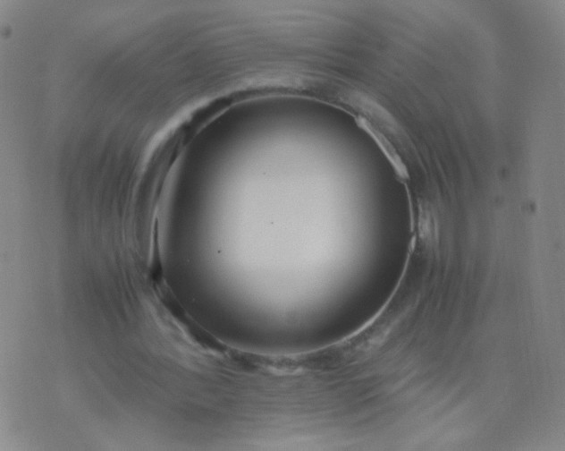 X0000070430388200606231923