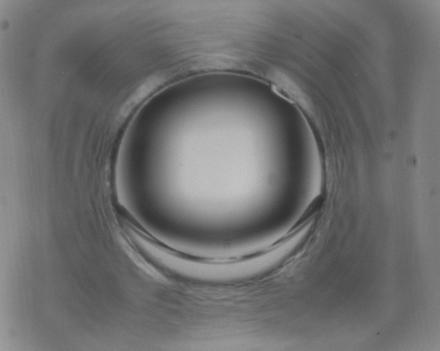 X0000070430389200606231923