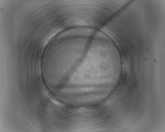 X0000070430390200606231923