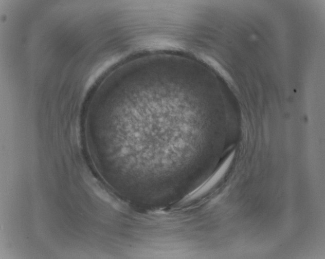 X0000070430391200606231923