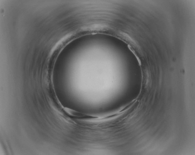 X0000070430392200606231923