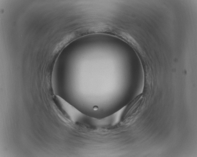 X0000070430393200606231923