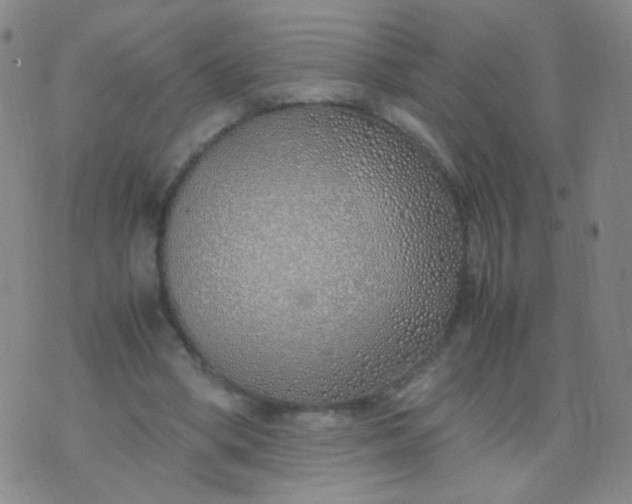 X0000070430394200606231923