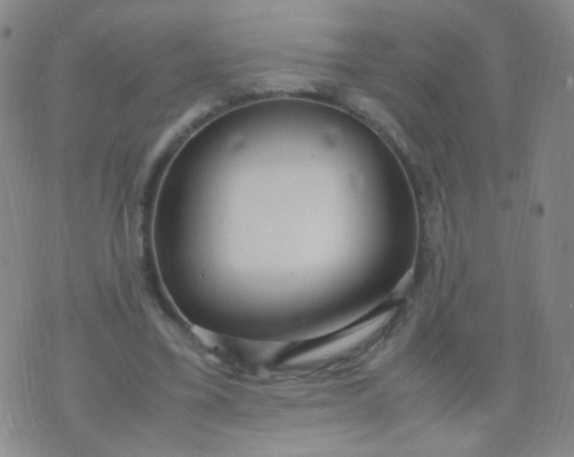 X0000070430395200606231923