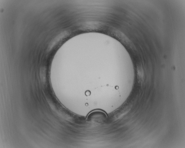 X0000070430396200606231923