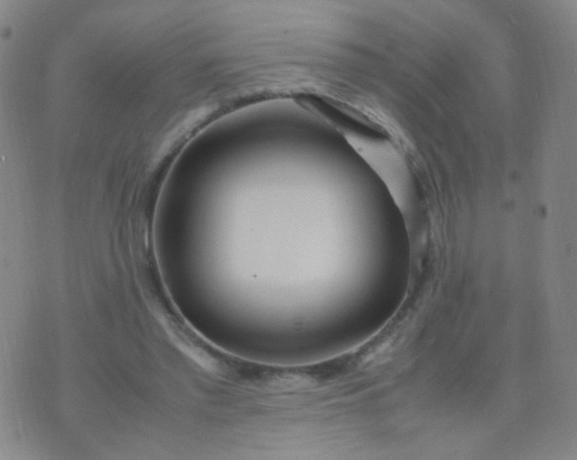 X0000070430397200606231923