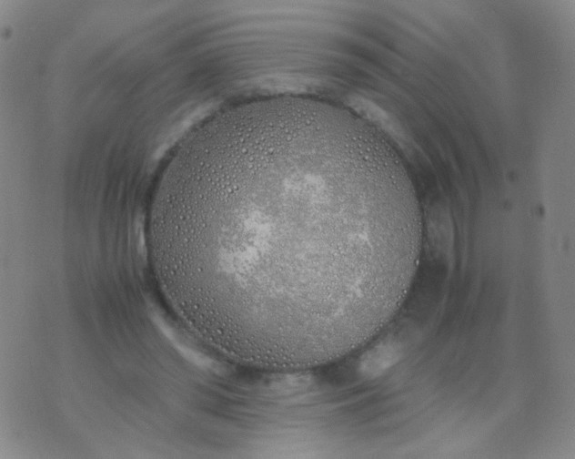 X0000070430398200606231923