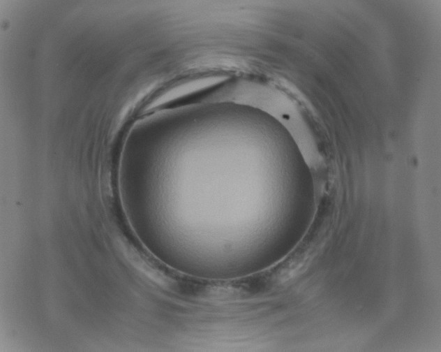 X0000070430399200606231923