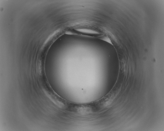 X0000070430400200606231923