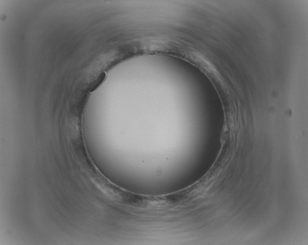 X0000070430401200606231923