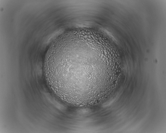 X0000070430402200606231923