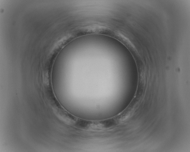 X0000070430403200606231923