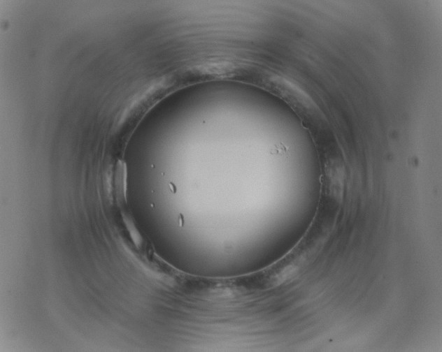 X0000070430404200606231923